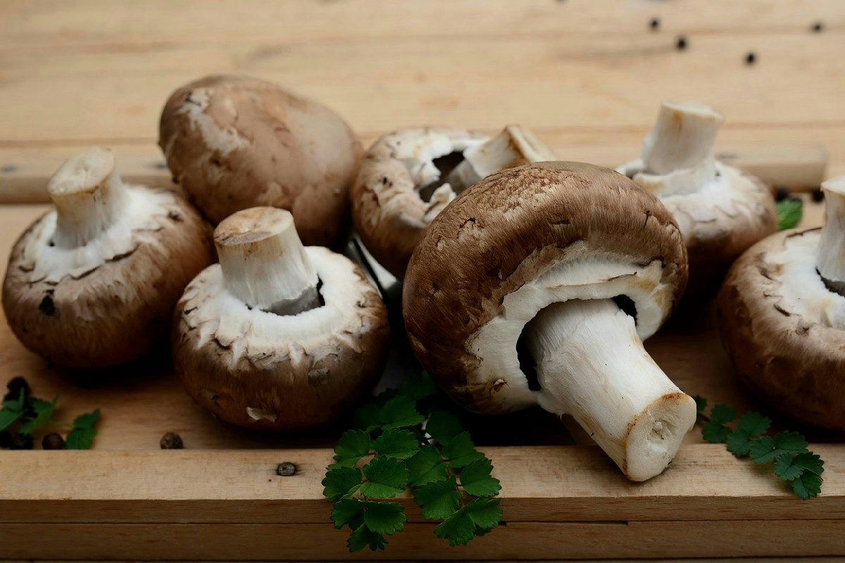 Crema vellutata di funghi: l’antipasto autunnale ideale per deliziare i palati più esigenti